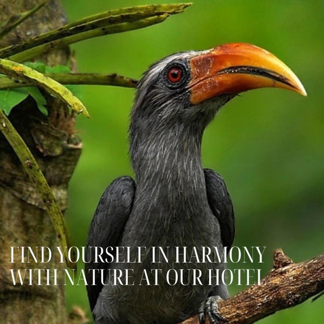 Hotel Bird Paradise Sigiriya Exteriör bild